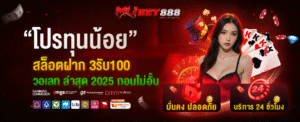 3รับ100 วอเลท